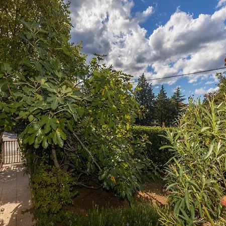 Apartamento Ilija Njavro - One Bedroom With Balcony