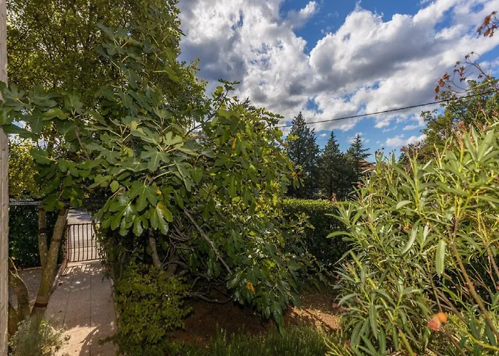 Apartamento Ilija Njavro - One Bedroom With Balcony